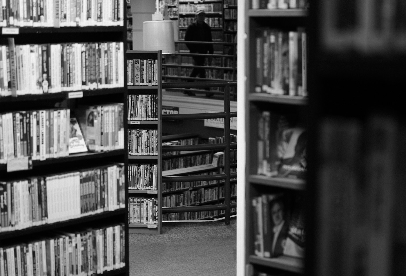Book-lined library shelves in black and white — illustrative stock image